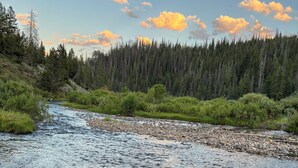 A river with clear water and rocks, surrounded by dense forest and a clear sky.