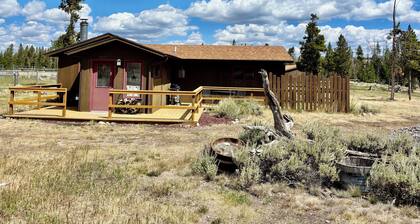 Escape to the Choosey Moose Cabin in the mountains of Dubois, WY