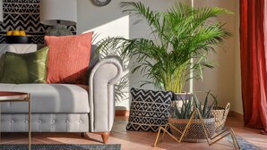 A living room with a sofa, patterned cushions, a potted plant, and a decorative wall piece.