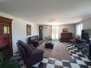 Smart TV, fireplace, books