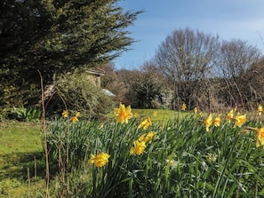 Cottage | Property grounds