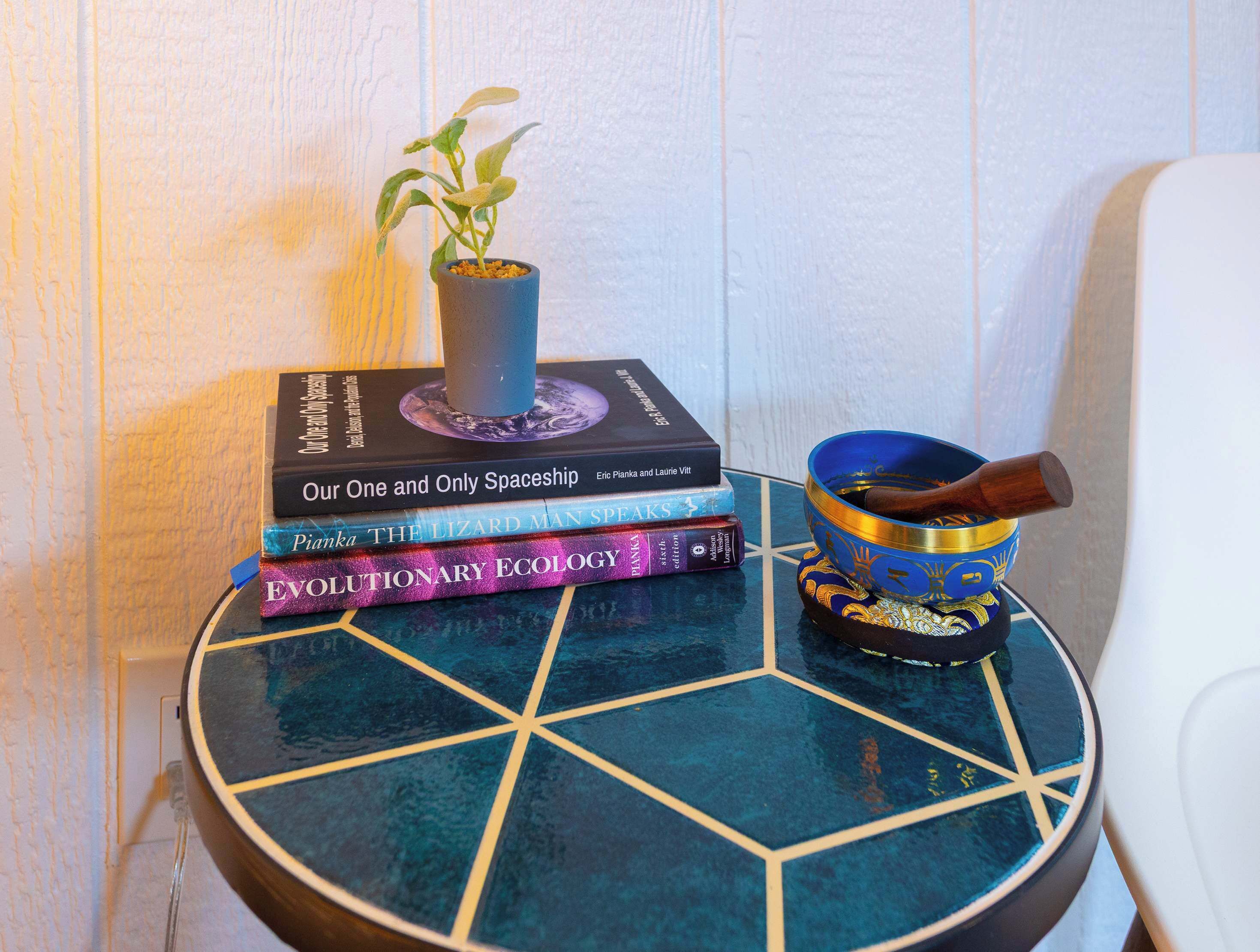 Uma mesa redonda com uma tigela azul e dourada decorativa e uma pequena planta em vaso sobre ela.