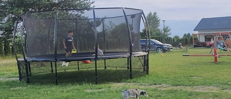 Ein Trampolin mit Sicherheitsnetz in einer grünen Wiese, ein Hund in der Nähe und ein Haus im Hintergrund.