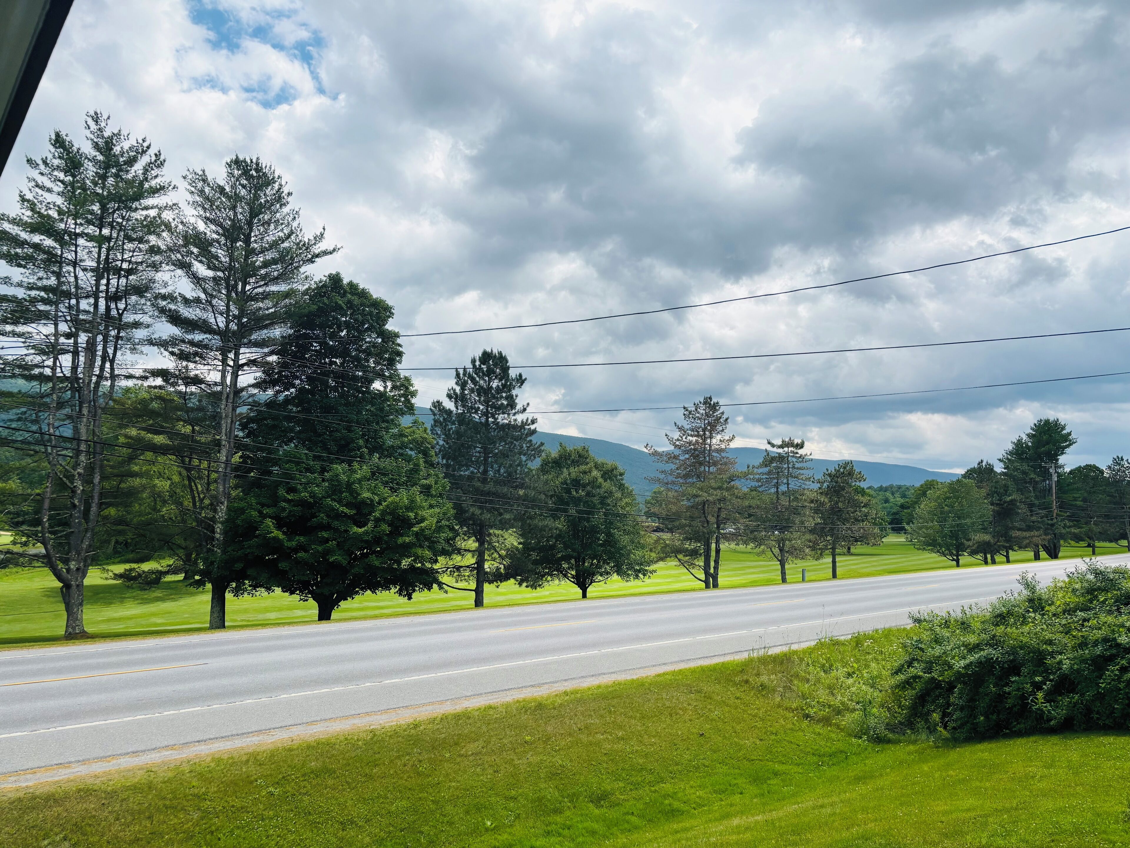 A road with trees and power lines.