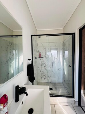 Shower, towels, toilet paper