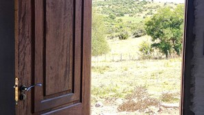 A wooden door leading to a view of a rural landscape with trees and fields. - Brand new! Charming corner in the sierras (Marmarajá)