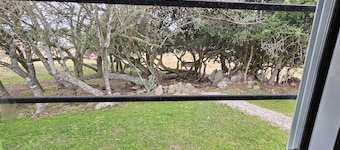 Brand new! Charming corner in the sierras