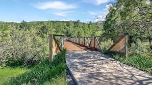 A wooden pedestrian bridge with metal railings, surrounded by lush greenery and trees. - Woodbridge 04A (Snowmass Village)