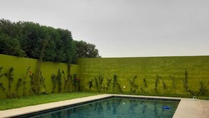 Una piscina rectangular amb un videtell daurat, envoltada per un mur verd i una zona enjardinada.