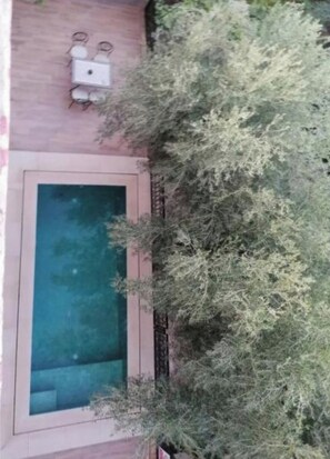 Miscellaneous - Charming Riad in the middle of nature (Boumalne Dades)