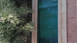 Une piscine rectangulaire bordée d’un revêtement de couleur claire, entourée d’une terrasse en bois et d’un grand arbre à feuillage dense.