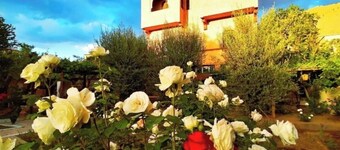 Charming Riad in the middle of nature