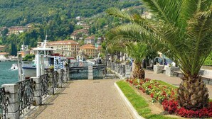 A waterfront promenade with a cobblestone path, a palm tree, and a row of colorful flowers.