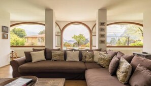 Smart TV, fireplace, books