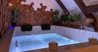 Love Room downtown with Jacuzzi