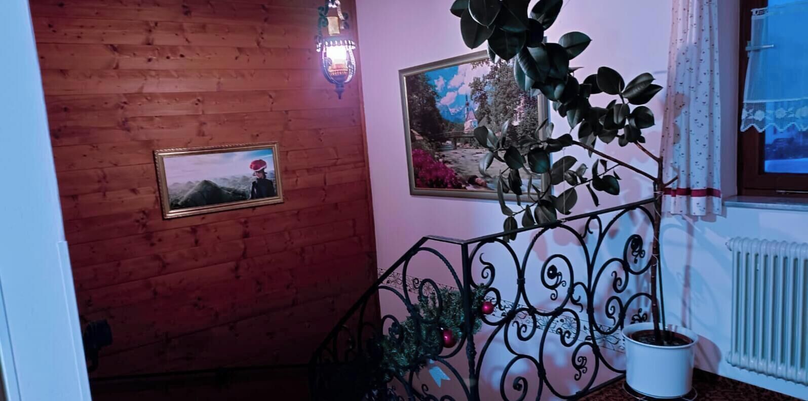 A room with a wooden wall, a framed picture, a decorative metal railing, and a potted plant.