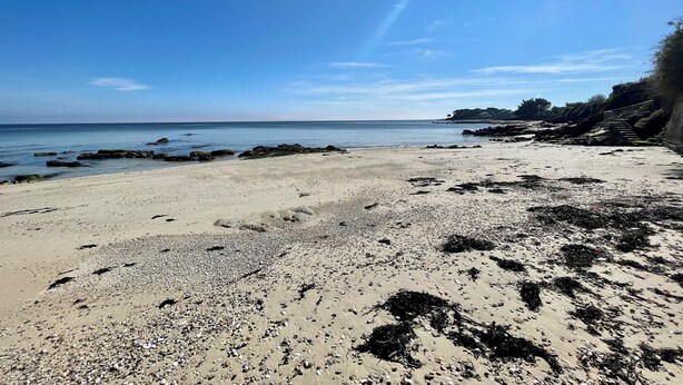 A beach with pebbles and seaweed, a clear sky, and a distant shoreline. - Lec'h Mat-Port Haliguen Quiberon-Wifi-6p-linen included (Quiberon)