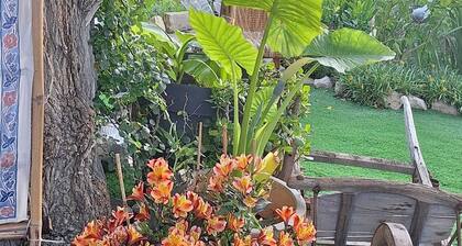 paradis colibri