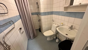 Une petite salle de bain avec des toilettes, un lavabo et une douche.
