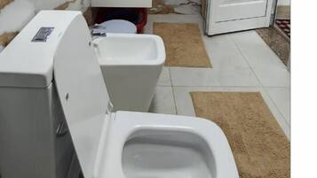 Shower, hair dryer, bidet, towels
