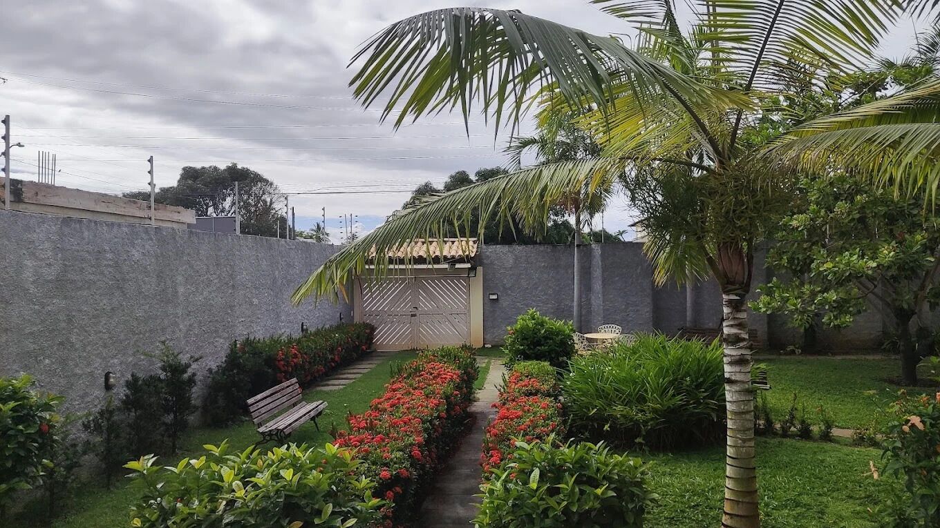 A garden with a paved pathway, a bench, and a palm tree.