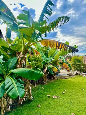 Área da propriedade