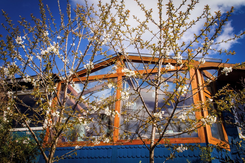 Hotel Boutique Casa Kalfu by null