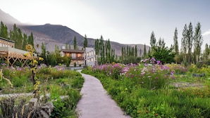 A pathway leading to a building surrounded by lush greenery and mountains. - Nubra Ecolodge (Leh)