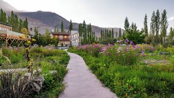 Deluxe Room | Tilam berlapik, meja, ruang kerja komputer riba, Wi-fi percuma