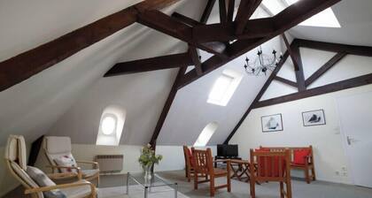Appartement cosy au cĆur de Vannes