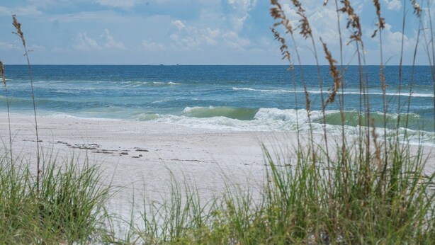 A beach with waves, grass, and a clear sky. - Wonderful townhouse located directly between the beach and the bay.  Watch the sunsets off the balco (BRADENTON BEACH)