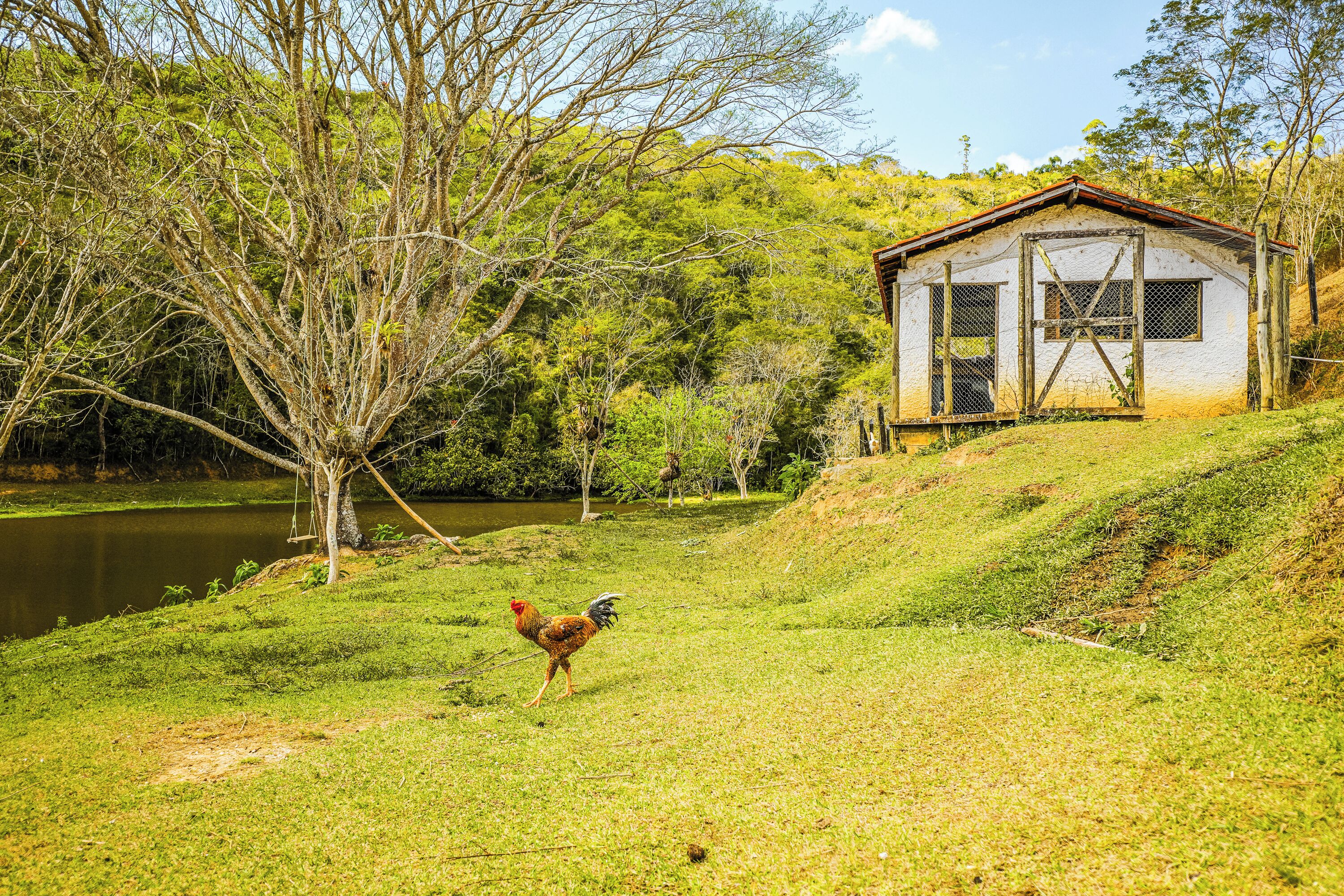 Un edificio rústico con techo inclinado y patio cercado, rodeado de abundante vegetación y una masa de agua.