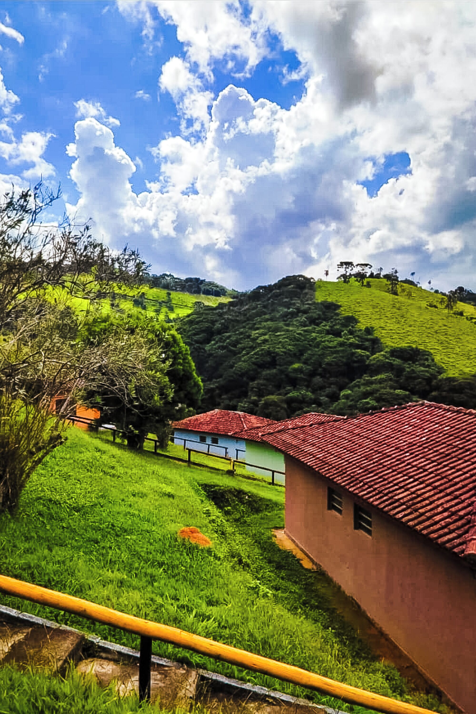 Área da propriedade