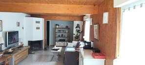 TV, fireplace, books