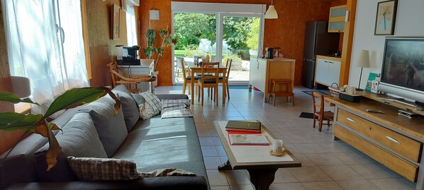 TV, fireplace, books