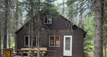 Cozy Cabin in the Woods. 25 minutes to Yellowstone National Park