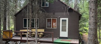 Cozy Cabin in the Woods