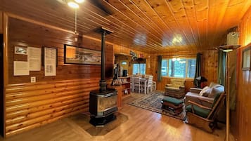 Smart-TV, Kamin