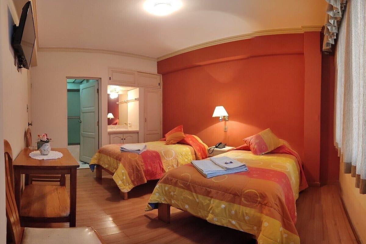 Classic Twin Room | Desk, free WiFi