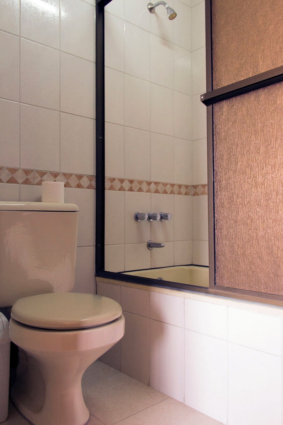 Un baño con inodoro, ducha y lavamanos.