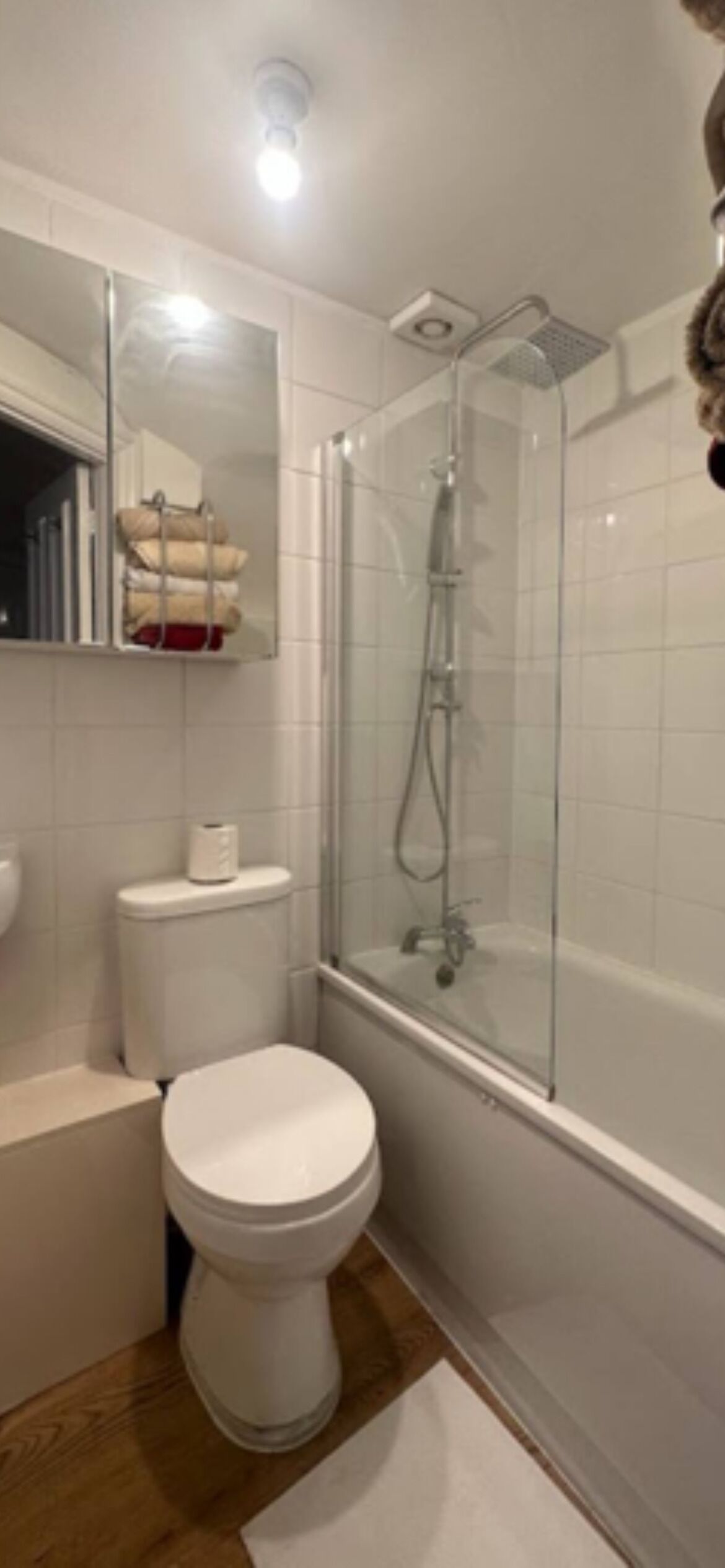 Secador de cabelo, toalhas de banho, papel higiênico 