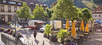 Vacation apartment Naturverliebt in the Black Forest - with sauna and panoramic balcony, right next to the ski slope and hiking trails