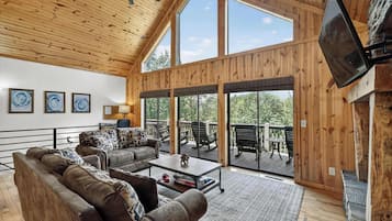 TV, fireplace, video games, books