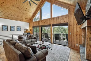 TV, fireplace, video games, books