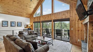 TV, fireplace, video games, books