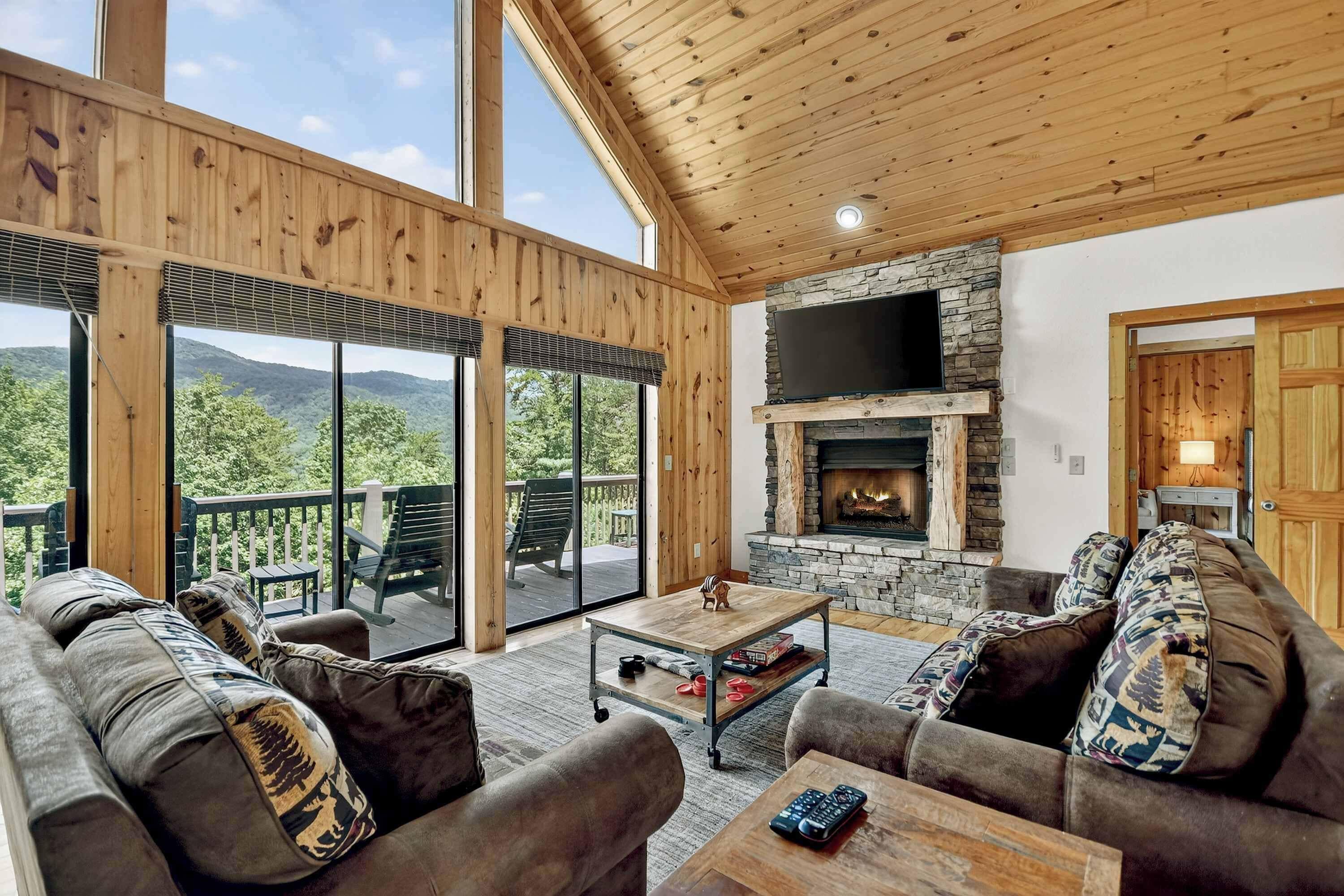 TV, fireplace, video games, books