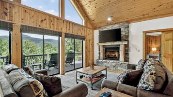 TV, fireplace, video games, books