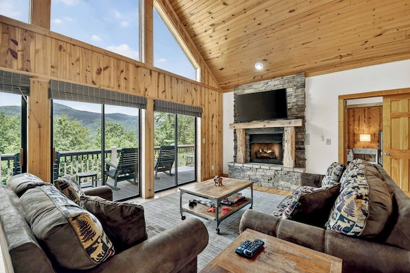 TV, fireplace, video games, offices