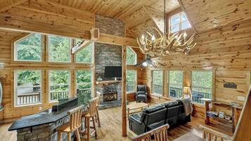 TV, fireplace, video games, books