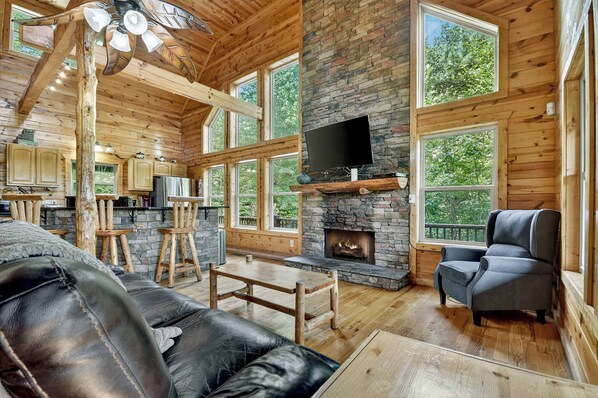 TV, fireplace, video games, books